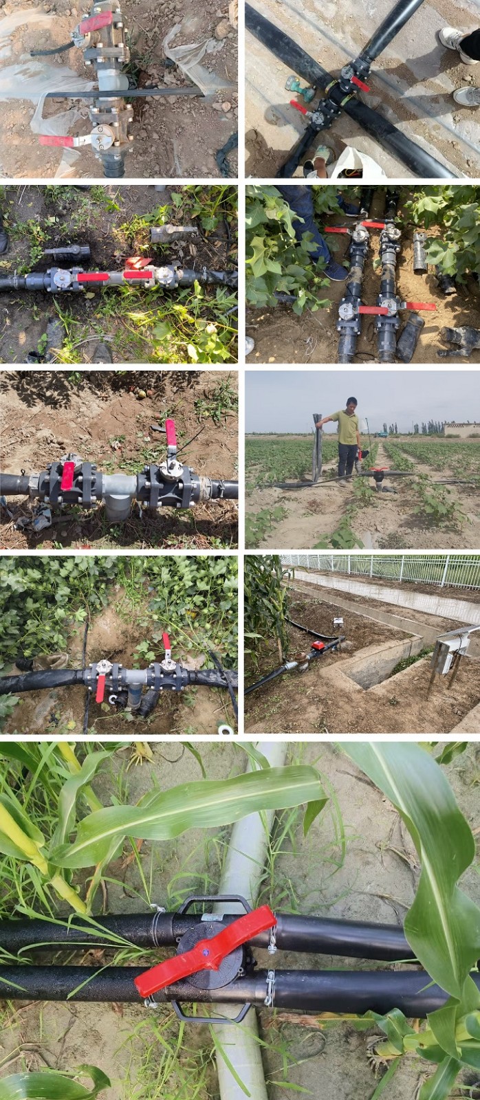 301.新疆乌鲁木齐农业科技中心.jpg